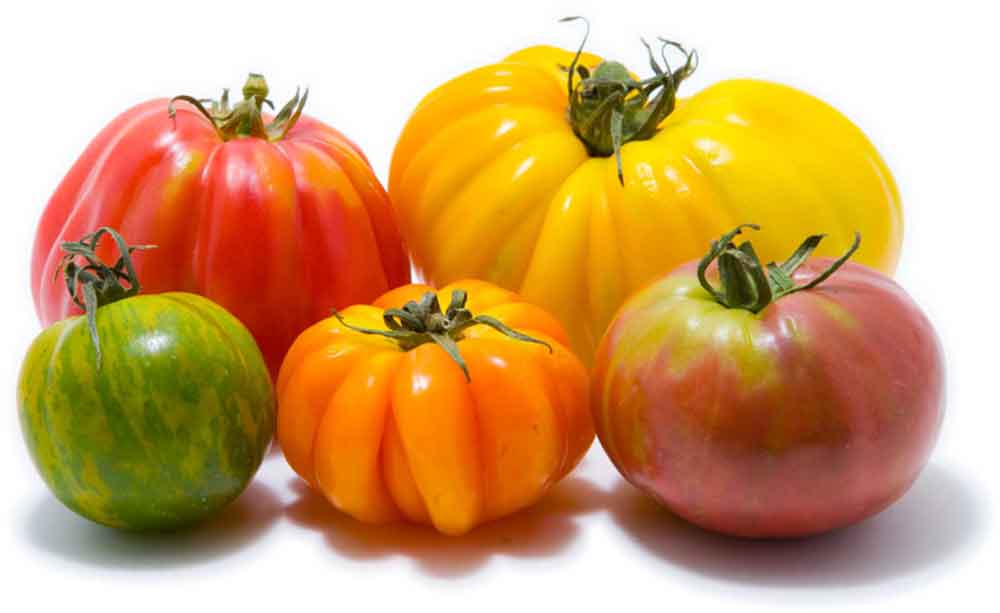 heirloom tomatoes