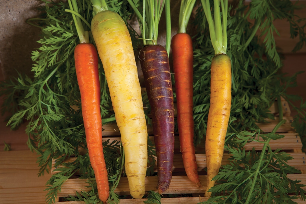 Rainbow Carrots